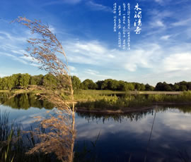新義水鄉(xiāng)中醫(yī)藥浴康養(yǎng)、黃龍溪古鎮(zhèn)二日游