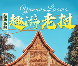 【趣游老撾 · 經(jīng)典版納】—昆明、普洱、西雙版納、磨丁、瑯勃拉邦四動(dòng)8日游